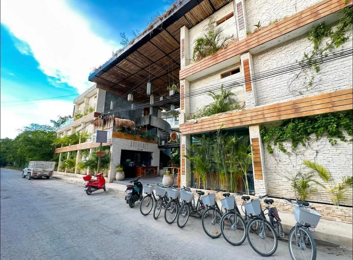 Xperience Tulum 1Br Pool Gym And Yoga Palapa Apartment